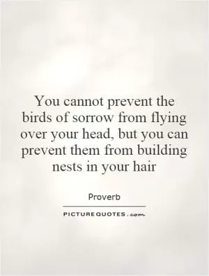 You cannot prevent the birds of sorrow from flying over your head, but you can prevent them from building nests in your hair Picture Quote #1