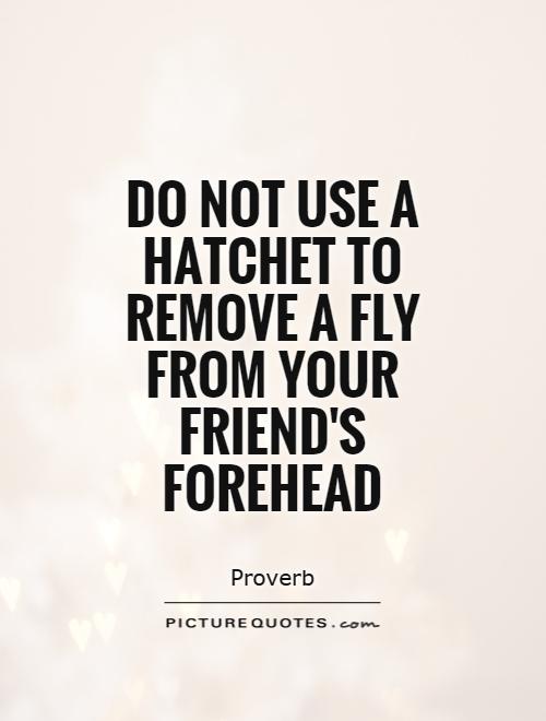 Do not use a hatchet to remove a fly from your friend's forehead Picture Quote #1