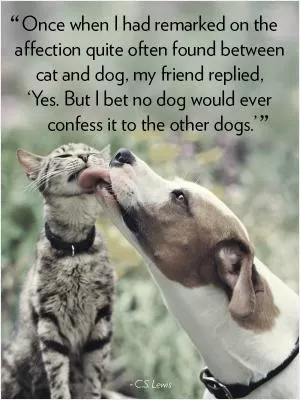 Once when I had remarked on the affection quite often found between cat and dog, my friend replied, Yes. But I bet no dog would ever confess it to the other dogs Picture Quote #1
