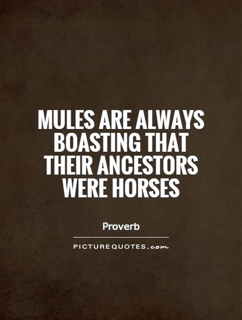 Mules are always boasting that their ancestors were horses Picture Quote #1