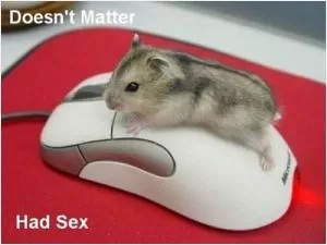 Doesn't matter. Had sex Picture Quote #1