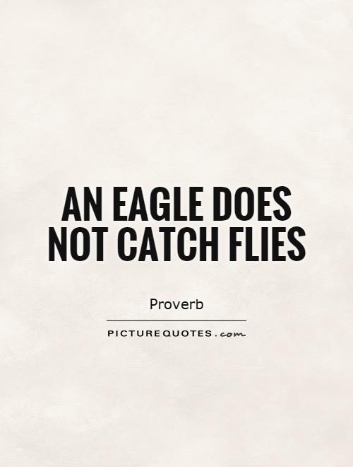 An eagle does not catch flies Picture Quote #1