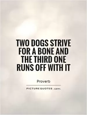 Two dogs strive for a bone and the third one runs off with it Picture Quote #1