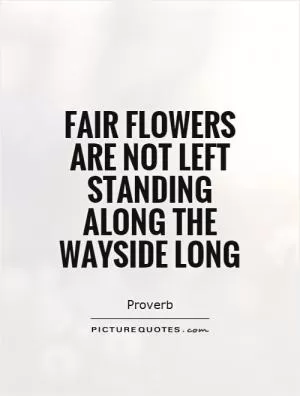 Fair flowers are not left standing along the wayside long Picture Quote #1