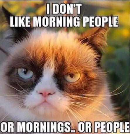 I don't like morning people. Or mornings. Or people Picture Quote #2