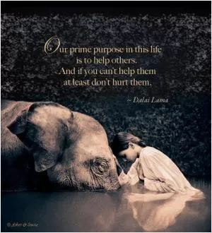 Our prime purpose in this life is to help others. And if you can't help them, at least don't hurt them Picture Quote #1
