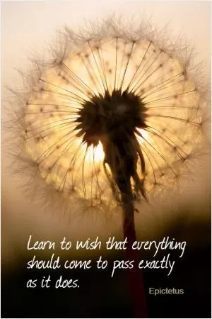 Learn to wish that everything should come to pass exactly as it does Picture Quote #1