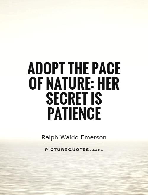 Adopt the pace of nature: her secret is patience Picture Quote #1