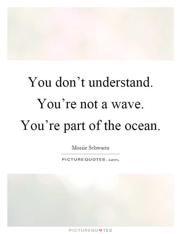 You don't understand. You're not a wave. You're part of the ocean Picture Quote #1