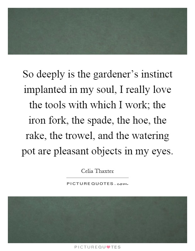 So deeply is the gardener's instinct implanted in my soul, I really love the tools with which I work; the iron fork, the spade, the hoe, the rake, the trowel, and the watering pot are pleasant objects in my eyes Picture Quote #1