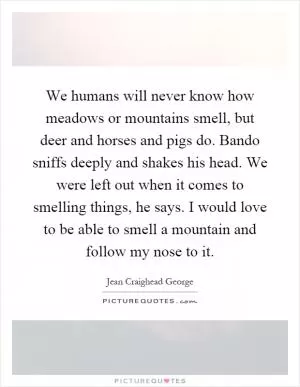 We humans will never know how meadows or mountains smell, but deer and horses and pigs do. Bando sniffs deeply and shakes his head. We were left out when it comes to smelling things, he says. I would love to be able to smell a mountain and follow my nose to it Picture Quote #1