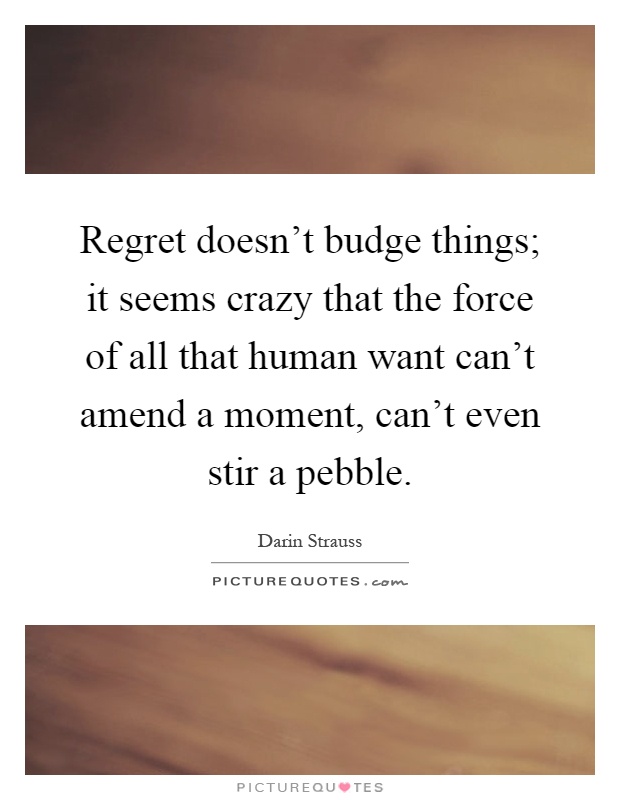 Regret doesn't budge things; it seems crazy that the force of all that human want can't amend a moment, can't even stir a pebble Picture Quote #1