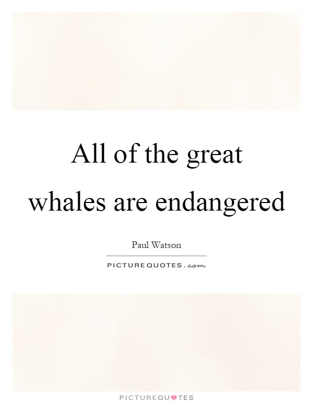 All of the great whales are endangered Picture Quote #1