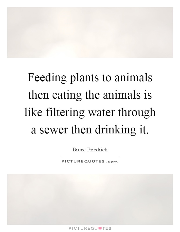 Feeding plants to animals then eating the animals is like filtering water through a sewer then drinking it Picture Quote #1