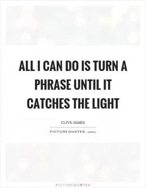 All I can do is turn a phrase until it catches the light Picture Quote #1