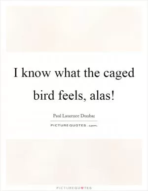 I know what the caged bird feels, alas! Picture Quote #1