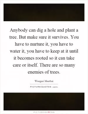Anybody can dig a hole and plant a tree. But make sure it survives. You have to nurture it, you have to water it, you have to keep at it until it becomes rooted so it can take care or itself. There are so many enemies of trees Picture Quote #1