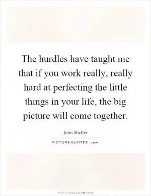 The hurdles have taught me that if you work really, really hard at perfecting the little things in your life, the big picture will come together Picture Quote #1
