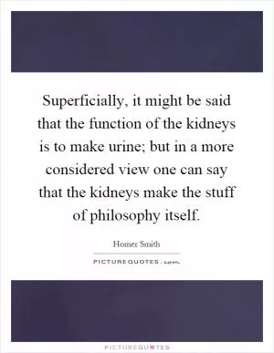 Superficially, it might be said that the function of the kidneys is to make urine; but in a more considered view one can say that the kidneys make the stuff of philosophy itself Picture Quote #1