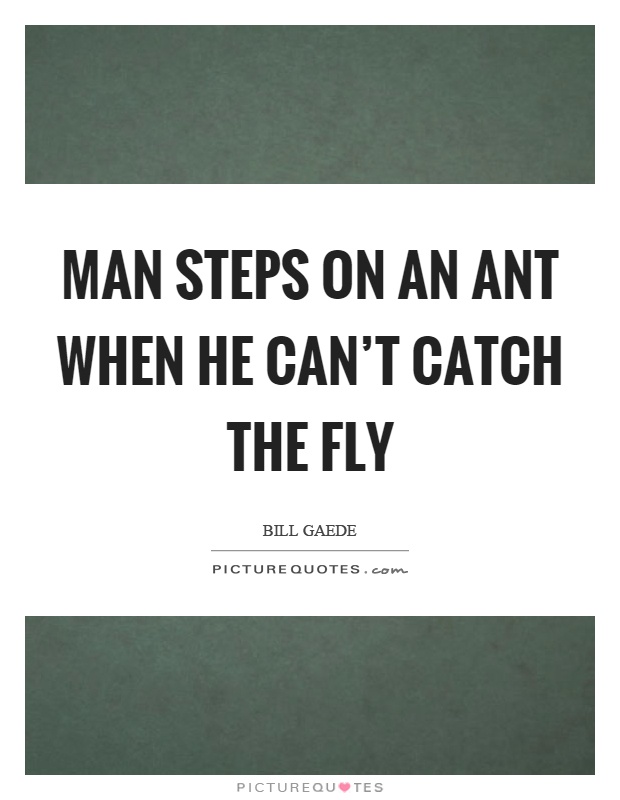 Man steps on an ant when he can't catch the fly Picture Quote #1