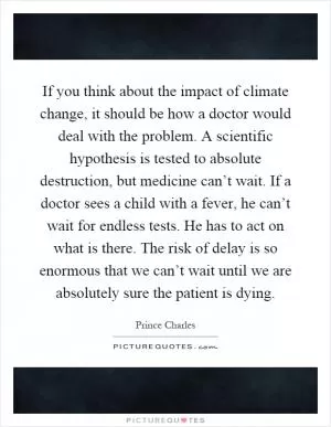 If you think about the impact of climate change, it should be how a doctor would deal with the problem. A scientific hypothesis is tested to absolute destruction, but medicine can’t wait. If a doctor sees a child with a fever, he can’t wait for endless tests. He has to act on what is there. The risk of delay is so enormous that we can’t wait until we are absolutely sure the patient is dying Picture Quote #1
