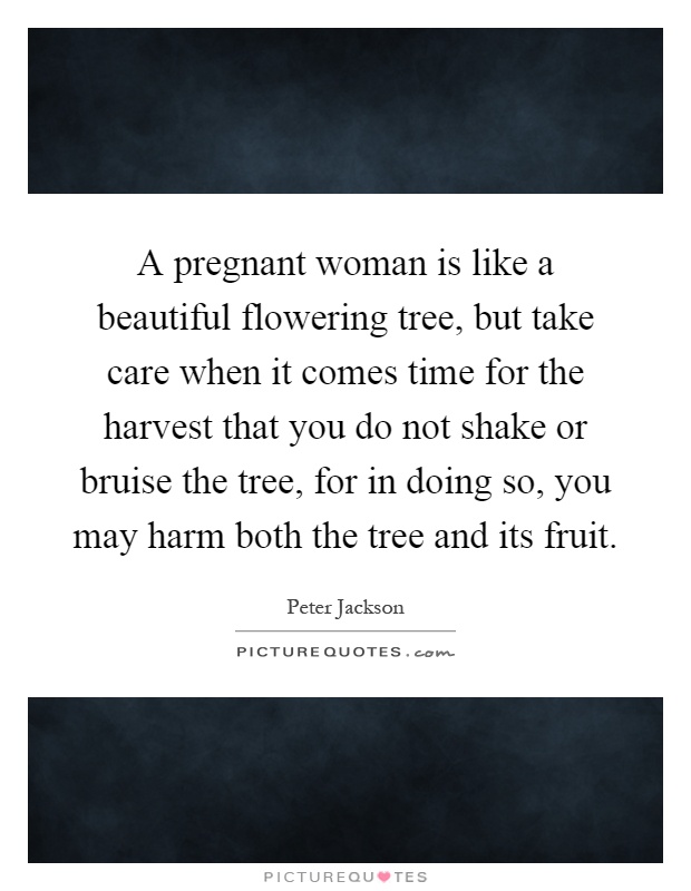 A pregnant woman is like a beautiful flowering tree, but take care when it comes time for the harvest that you do not shake or bruise the tree, for in doing so, you may harm both the tree and its fruit Picture Quote #1