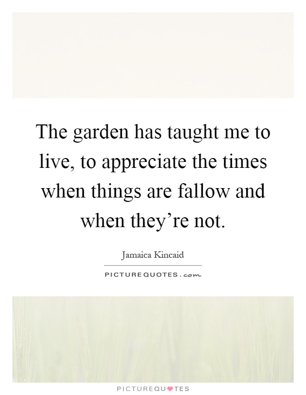 The garden has taught me to live, to appreciate the times when things are fallow and when they're not Picture Quote #1