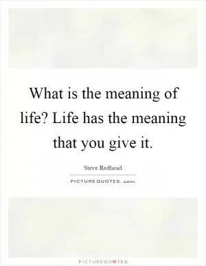 What is the meaning of life? Life has the meaning that you give it Picture Quote #1