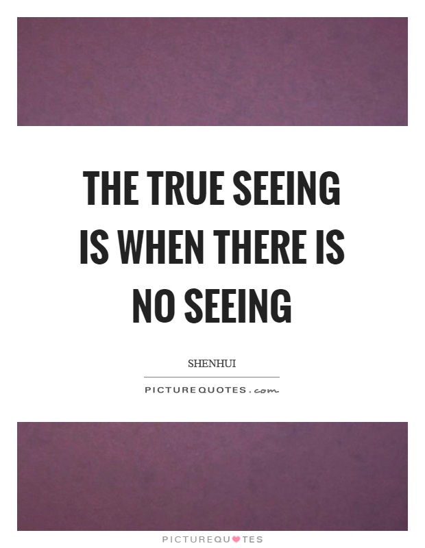 The true seeing is when there is no seeing Picture Quote #1