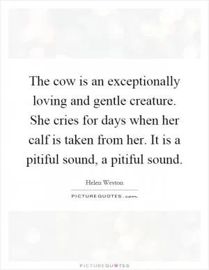 The cow is an exceptionally loving and gentle creature. She cries for days when her calf is taken from her. It is a pitiful sound, a pitiful sound Picture Quote #1