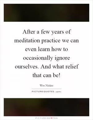 After a few years of meditation practice we can even learn how to occasionally ignore ourselves. And what relief that can be! Picture Quote #1
