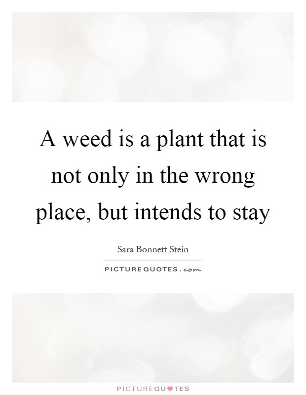 A weed is a plant that is not only in the wrong place, but intends to stay Picture Quote #1