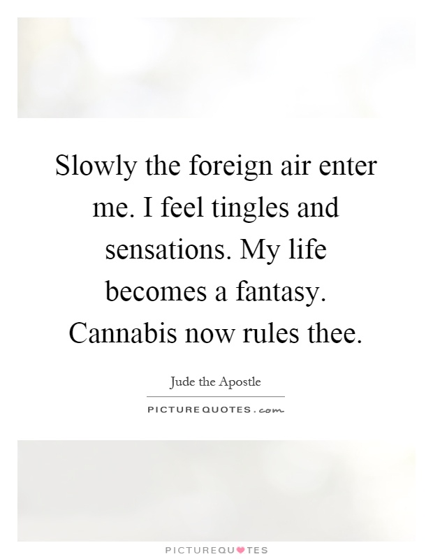 Slowly the foreign air enter me. I feel tingles and sensations. My life becomes a fantasy. Cannabis now rules thee Picture Quote #1