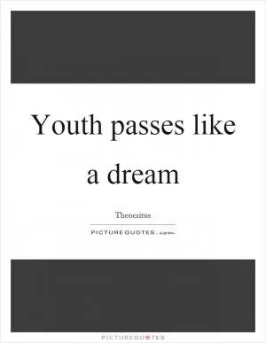 Youth passes like a dream Picture Quote #1