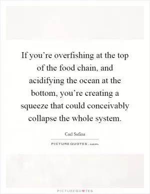 If you’re overfishing at the top of the food chain, and acidifying the ocean at the bottom, you’re creating a squeeze that could conceivably collapse the whole system Picture Quote #1