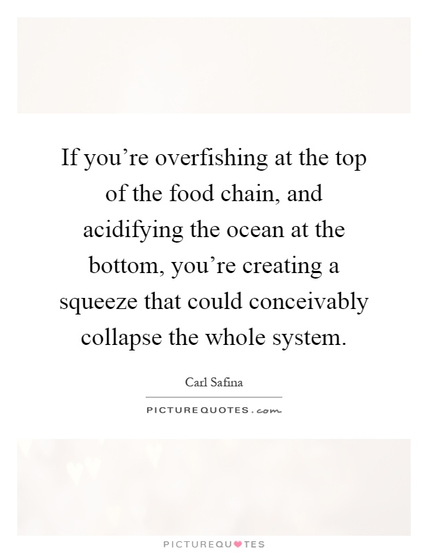 If you're overfishing at the top of the food chain, and acidifying the ocean at the bottom, you're creating a squeeze that could conceivably collapse the whole system Picture Quote #1