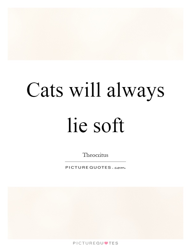 Cats will always lie soft Picture Quote #1