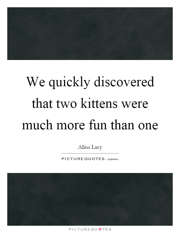 We quickly discovered that two kittens were much more fun than one Picture Quote #1