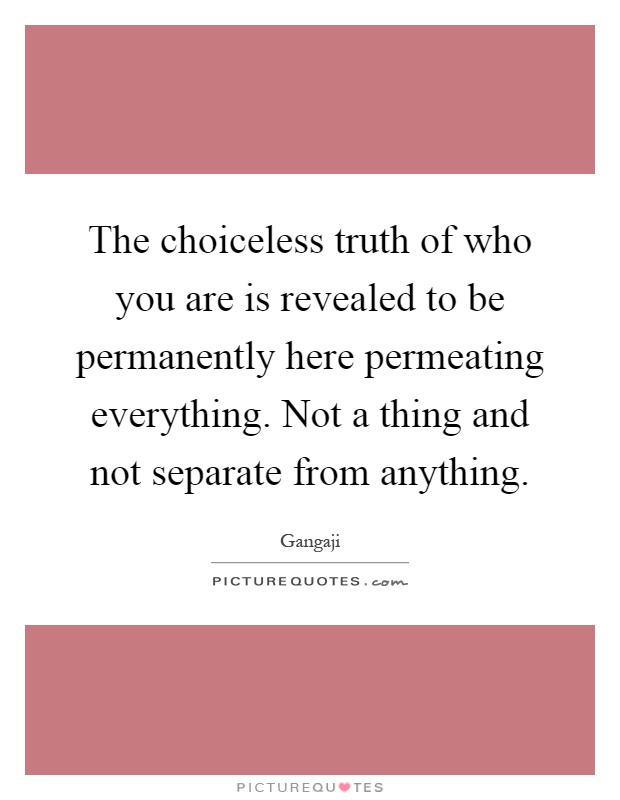 The choiceless truth of who you are is revealed to be permanently here permeating everything. Not a thing and not separate from anything Picture Quote #1
