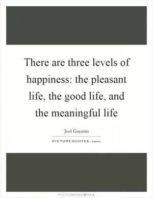 There are three levels of happiness: the pleasant life, the good life, and the meaningful life Picture Quote #1
