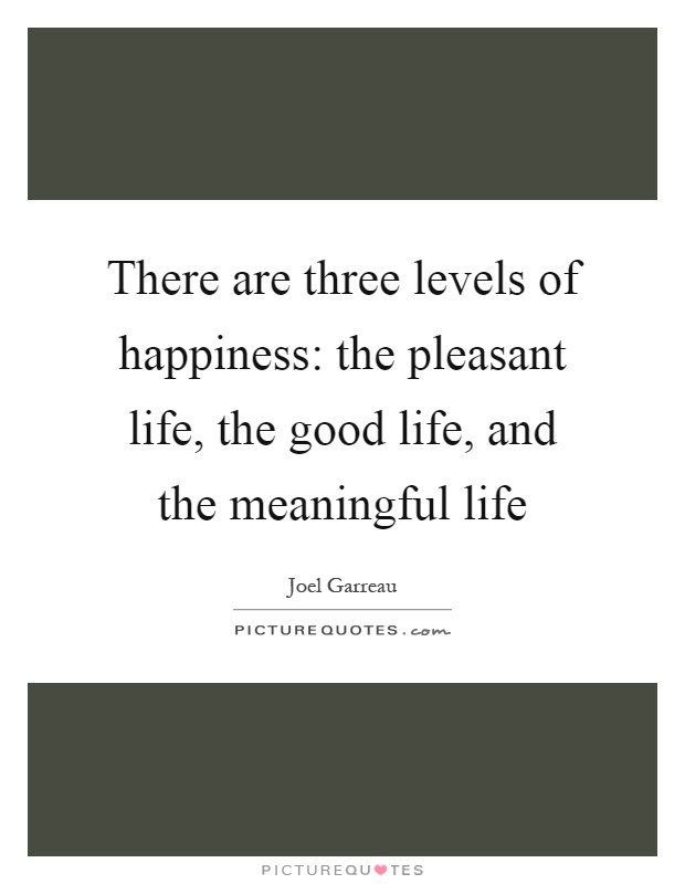 There are three levels of happiness: the pleasant life, the good life, and the meaningful life Picture Quote #1