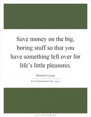 Save money on the big, boring stuff so that you have something left over for life’s little pleasures Picture Quote #1