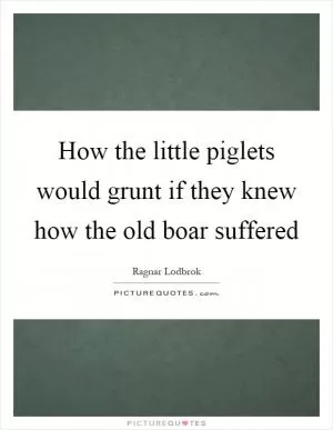 How the little piglets would grunt if they knew how the old boar suffered Picture Quote #1
