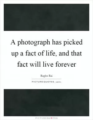 A photograph has picked up a fact of life, and that fact will live forever Picture Quote #1