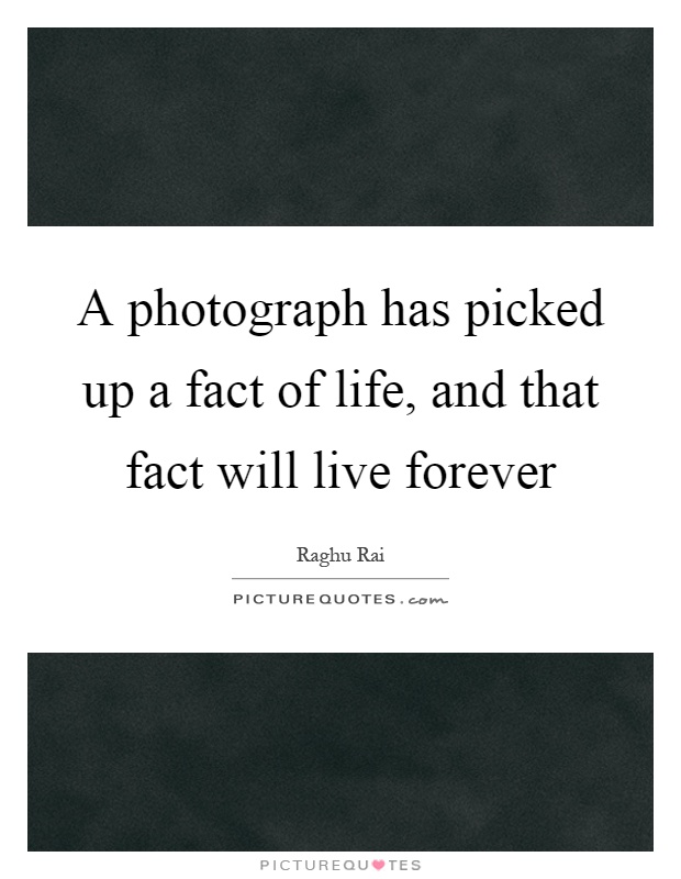 A photograph has picked up a fact of life, and that fact will live forever Picture Quote #1