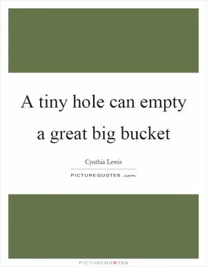A tiny hole can empty a great big bucket Picture Quote #1