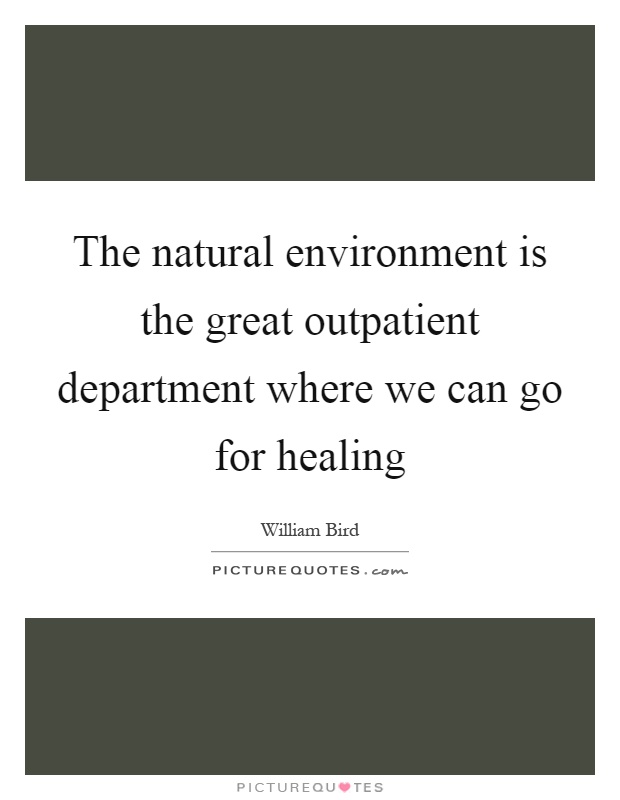 The natural environment is the great outpatient department where we can go for healing Picture Quote #1