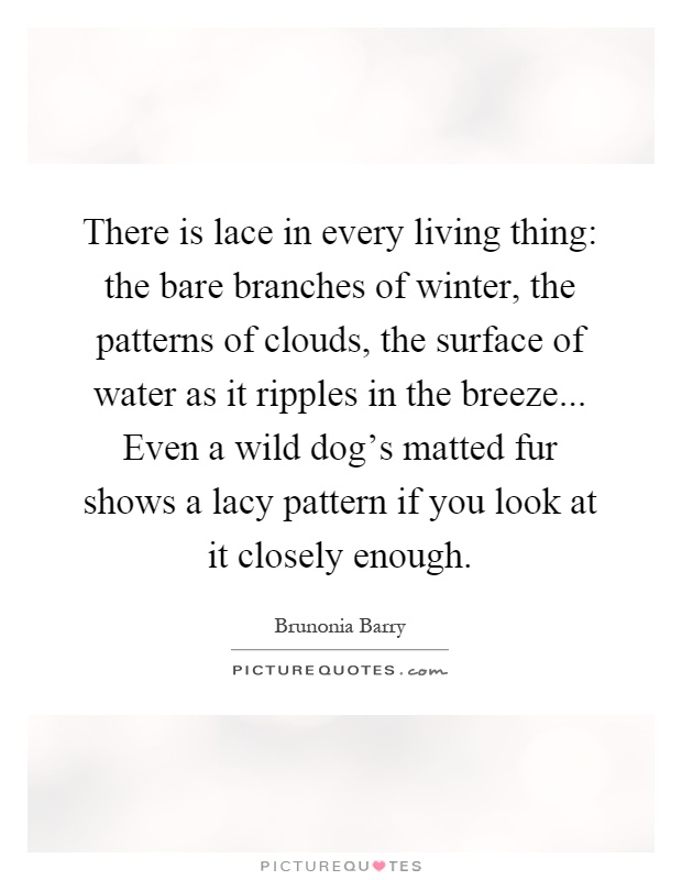 There is lace in every living thing: the bare branches of winter, the patterns of clouds, the surface of water as it ripples in the breeze... Even a wild dog's matted fur shows a lacy pattern if you look at it closely enough Picture Quote #1