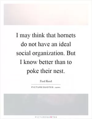 I may think that hornets do not have an ideal social organization. But I know better than to poke their nest Picture Quote #1