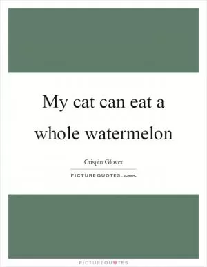 My cat can eat a whole watermelon Picture Quote #1